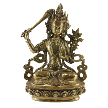 Manjushree 06 Jakość 20cm.