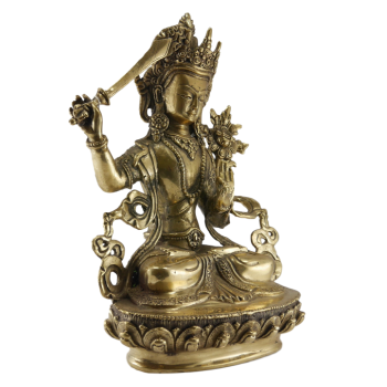 Manjushree 06 Jakość 20cm.