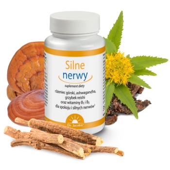 Silne nerwy na stress - 100 tabletek